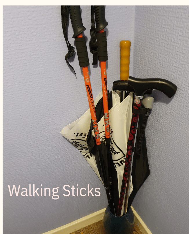 walking sticks and walking poles in a blue vase