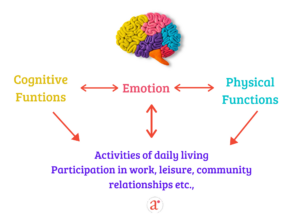 White background with a picture of a brain in yellow, pink.purple,blue and orange depicting cognitive functions, emotions, physical functions and daily activity